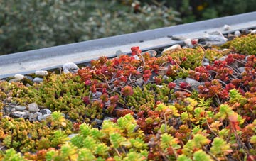 the cost of Clashnessie green roof installation